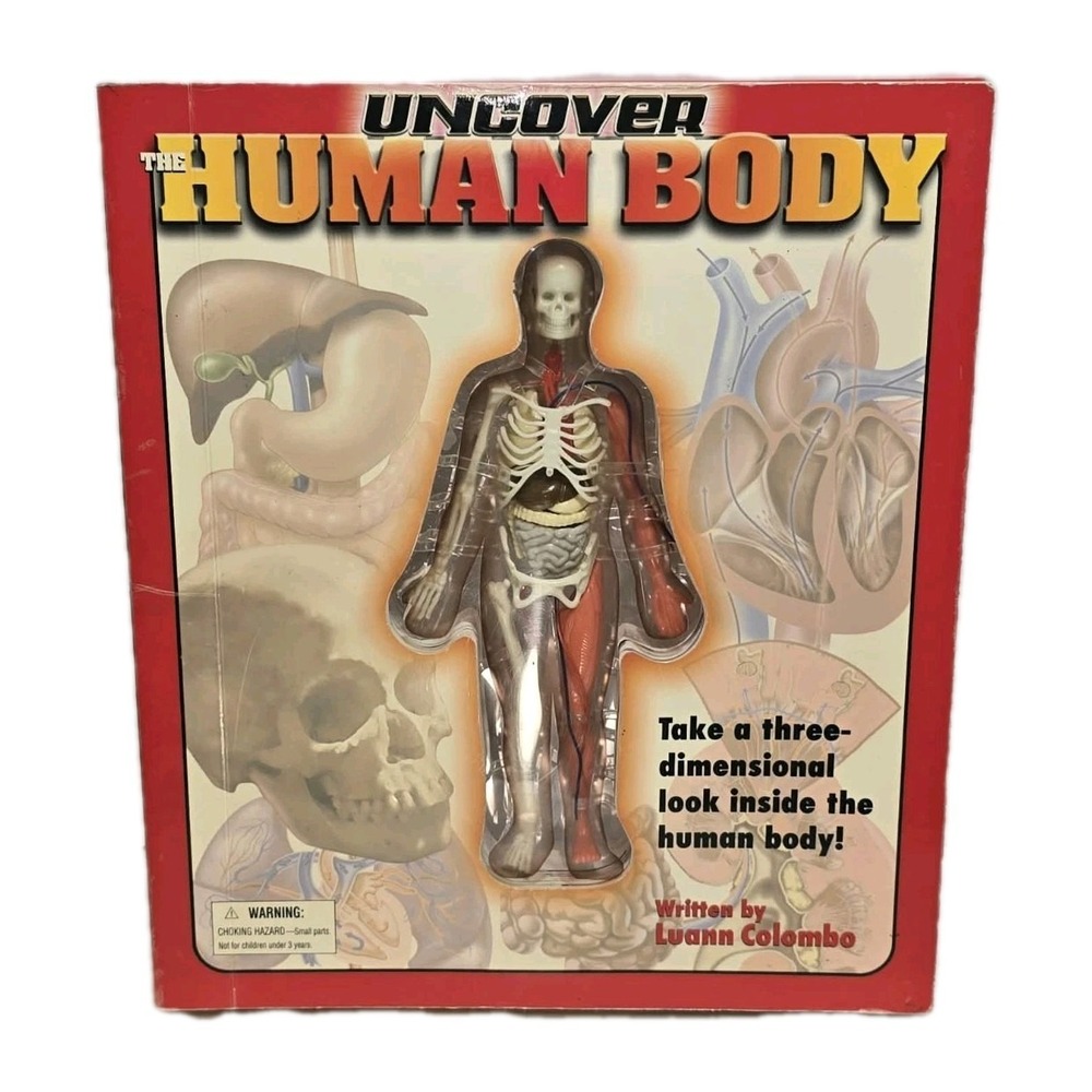 Uncover the Human Body 3D Anatomy Book EUC Educational‎ Science 🧠📘